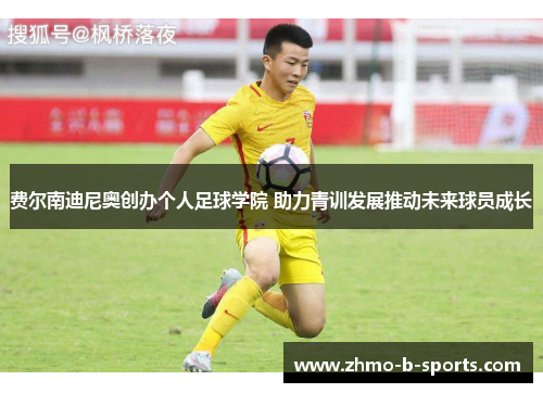 费尔南迪尼奥创办个人足球学院 助力青训发展推动未来球员成长