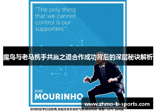 魔鸟与老马携手共赢之道合作成功背后的深层秘诀解析 魔鸟与老马携手共赢之道合作成功背后的深层秘诀解析