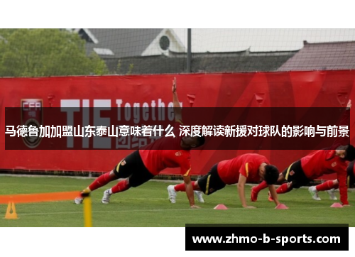 马德鲁加加盟山东泰山意味着什么 深度解读新援对球队的影响与前景