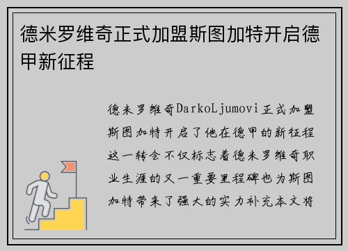 德米罗维奇正式加盟斯图加特开启德甲新征程 德米罗维奇正式加盟斯图加特开启德甲新征程